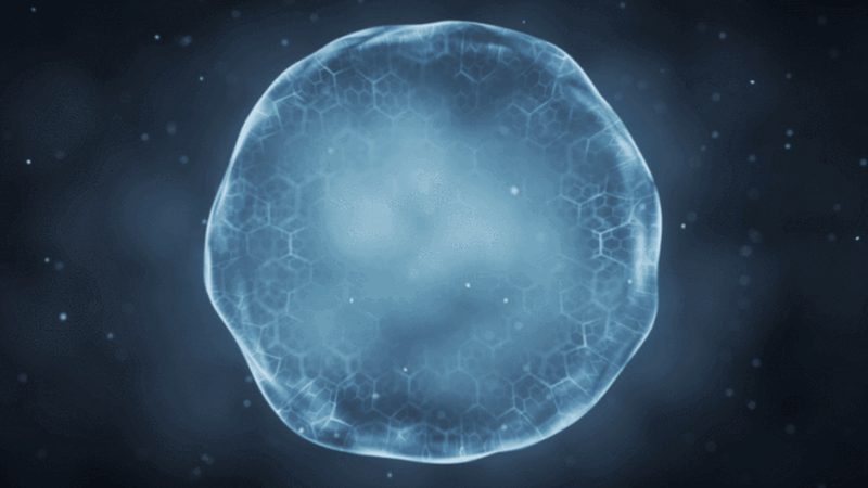 生物制品质量控制：揭秘行业标准背后的关键参数**