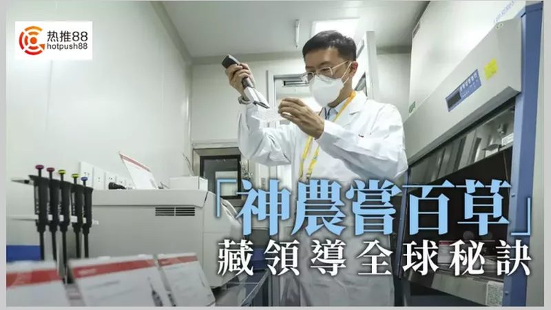 上海生物试剂分类及规格：揭秘实验室必备物资的秘密