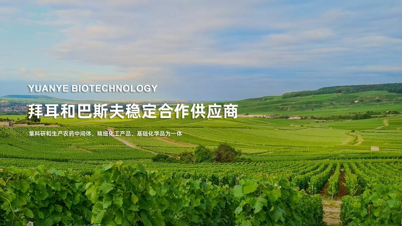 区域代理：如何选择生物科技公司的靠谱合作伙伴**