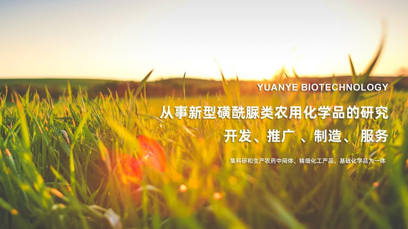 细胞工厂技术参数解析：构建高效生物制造的秘诀