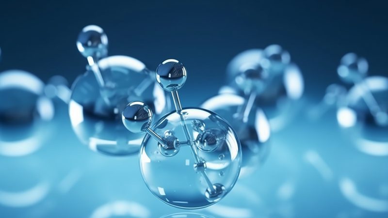 生物科技试剂直销厂家对比