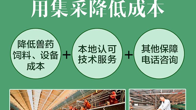 上海基因检测全流程拆解：从采样到报告的关键节点