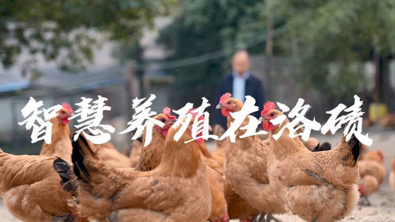 酶制剂为什么有时要冷藏