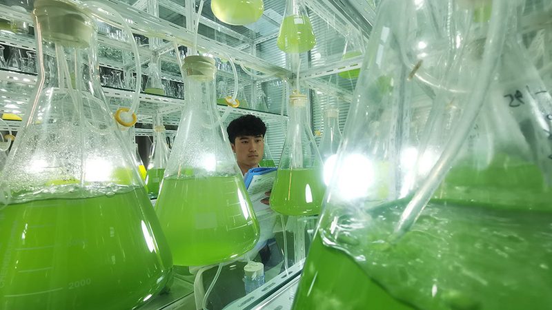 误区识别：不是越贵越好